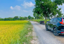 ĐẤT THỔ TÂN PHÚ-ĐỨC HOÀ