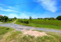 ĐẤT TÂN PHÚ - ĐỨC HOÀ - LONG AN GIÁ ĐẦU TƯ