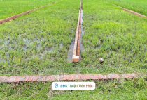 BÁN ĐẤT NỀN FULL THỔ CƯ 823D GIÁ ĐẦU TƯ