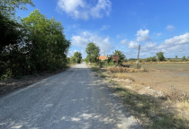 ĐẤT LÚA XÃ TÂN PHÚ - ĐỨC HOÀ -LONG AN