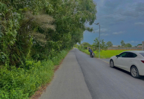 ĐẤT LÚA ĐẦU TƯ HẬU NGHĨA - ĐỨC HOÀ -  LONG AN