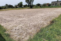 ĐẤT ĐẸP GIÁ TỐT - HOÀ KHÁNH TÂY 