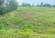 ĐẤT NỀN ĐỨC HÒA GIÁ ĐẦU TƯ 