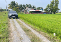 Đất thổ giá rẻ sổ hồng riêng Đức Hoà 