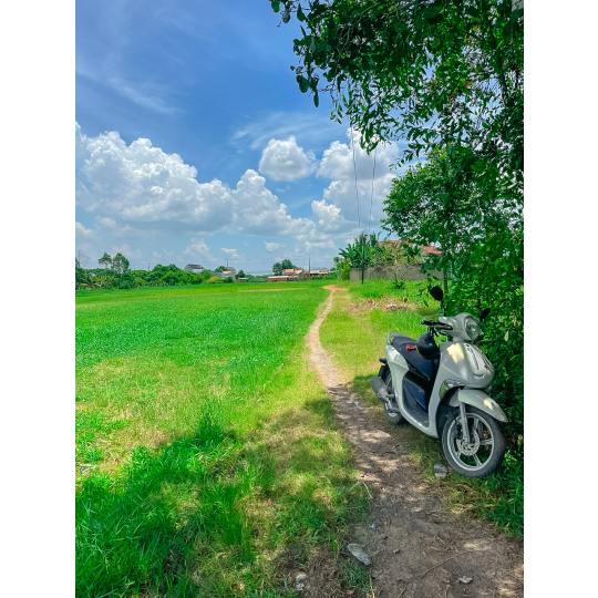 ĐẤT ĐẦU TƯ ĐỨC HOÀ 