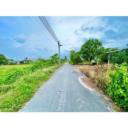 Bán đất tặng nhà - cách Vành Đai 4 và trục đường 823D chỉ 500m