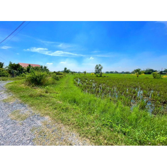 ĐẤT TÂN PHÚ - ĐỨC HOÀ - LONG AN GIÁ ĐẦU TƯ