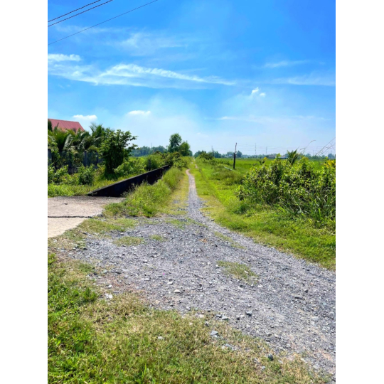 ĐẤT TÂN PHÚ - ĐỨC HOÀ - LONG AN GIÁ ĐẦU TƯ