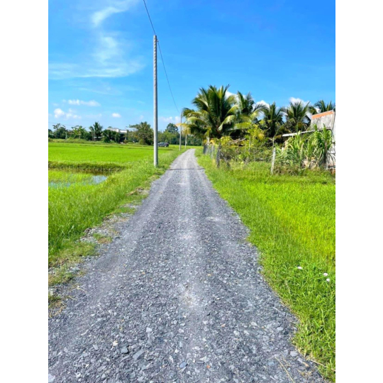 ĐẤT TÂN PHÚ - ĐỨC HOÀ - LONG AN GIÁ ĐẦU TƯ