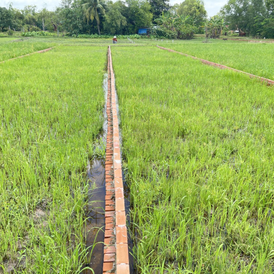 BÁN ĐẤT NỀN FULL THỔ CƯ 823D GIÁ ĐẦU TƯ