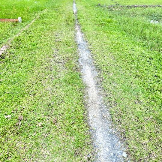 BÁN ĐẤT NỀN FULL THỔ CƯ 823D GIÁ ĐẦU TƯ