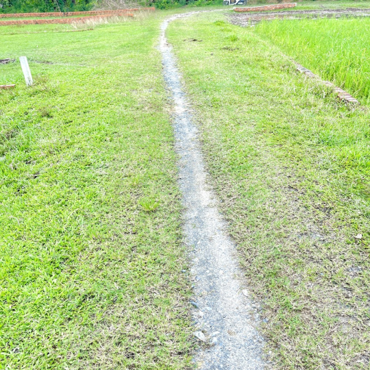 BÁN ĐẤT NỀN FULL THỔ CƯ 823D GIÁ ĐẦU TƯ