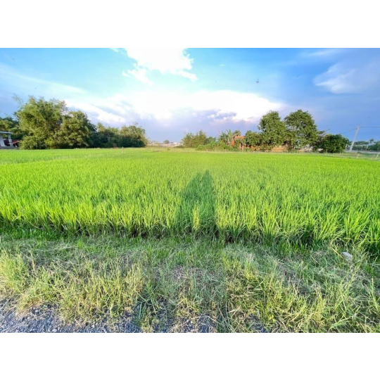 ĐẤT THỔ CƯ TÂN MỸ CẠNH VINGROUP 930ha 