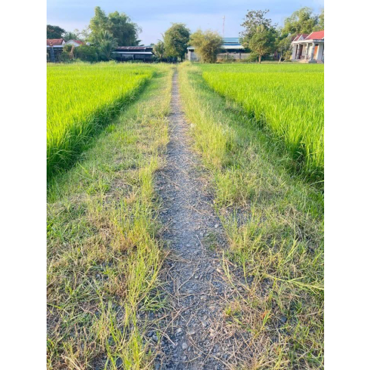 ĐẤT THỔ CƯ TÂN MỸ CẠNH VINGROUP 930ha 