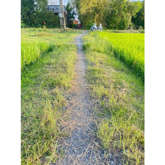 ĐẤT THỔ CƯ TÂN MỸ CẠNH VINGROUP 930ha 