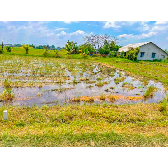 ĐẤT THỔ TÂN PHÚ-ĐỨC HOÀ