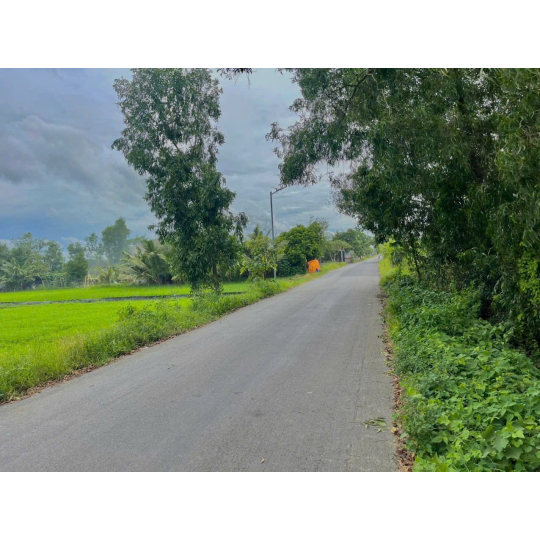 ĐẤT LÚA ĐẦU TƯ HẬU NGHĨA - ĐỨC HOÀ -  LONG AN