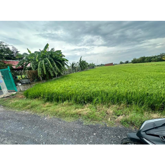 Xã Tân Phú - Đức Hoà - Long An 