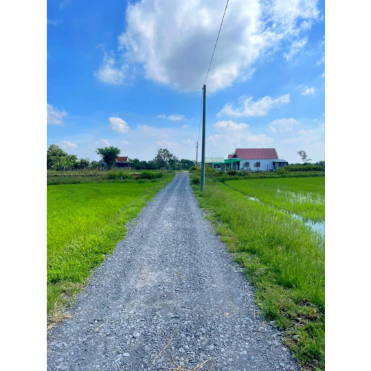 ĐẤT THỔ XÃ TÂN PHÚ