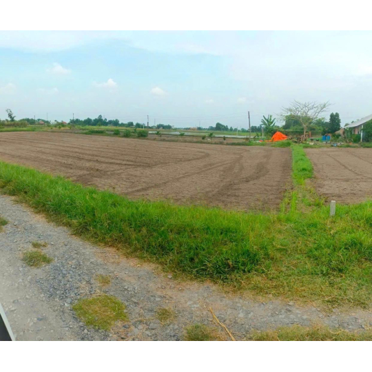 ĐẤT THỔ XÃ TÂN PHÚ