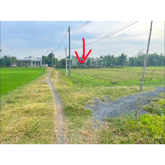 ĐẤT NỀN ĐỨC HÒA GIÁ ĐẦU TƯ 