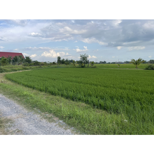 ĐẤT THỔ CƯ GIÁ RẺ ĐỨC HOÀ
