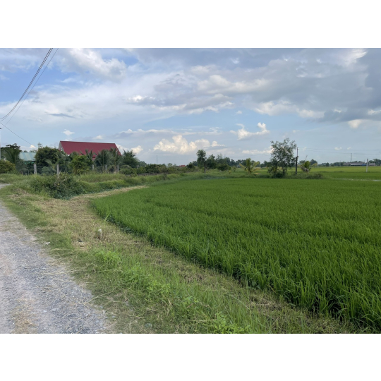 ĐẤT THỔ CƯ GIÁ RẺ ĐỨC HOÀ