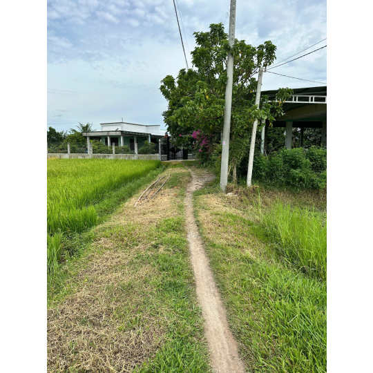 Đất thổ cư Đức Hoà giá rẻ - Cách đại đô thị Vingroup 936ha chỉ 1km 