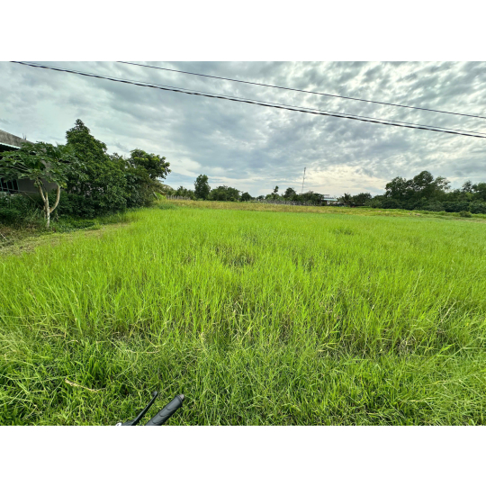 Đất thổ cư Đức Hoà giá rẻ - Cách đại đô thị Vingroup 936ha chỉ 1km 