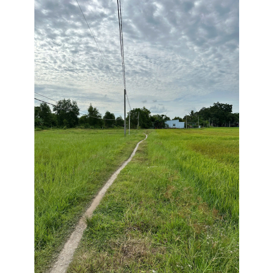 Đất thổ cư Đức Hoà giá rẻ - Cách đại đô thị Vingroup 936ha chỉ 1km 