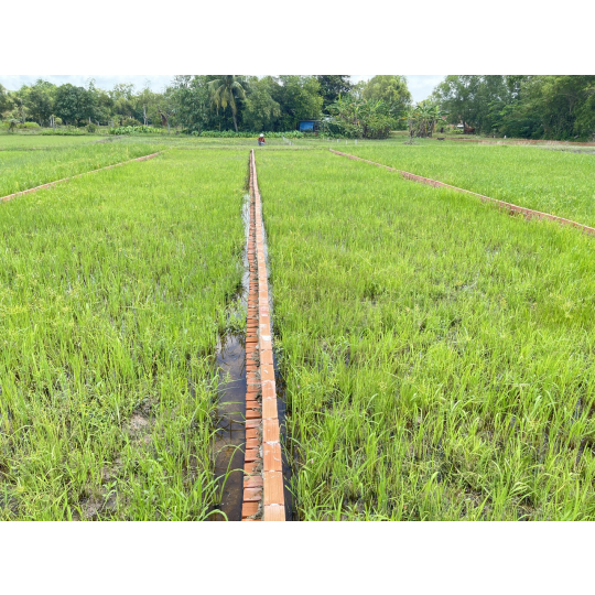 Bán đất thổ cư 823D Đức Hoà Long An