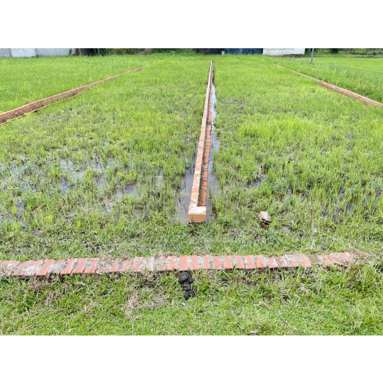 Bán đất thổ cư 823D Đức Hoà Long An