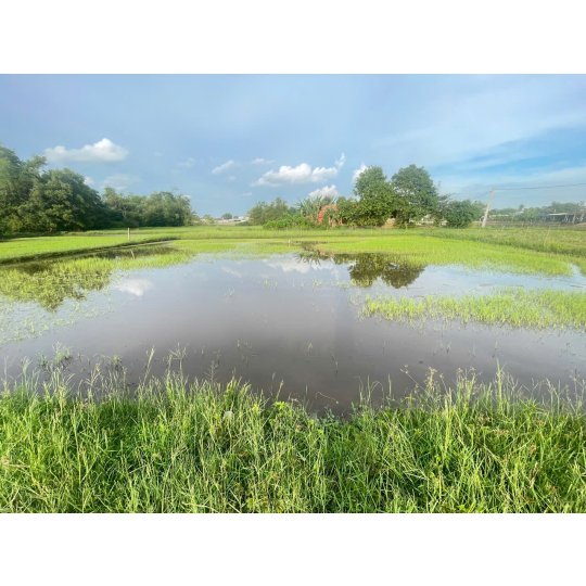 Bán đất thổ cư Tân Mỹ cạnh Vingroup 930ha 