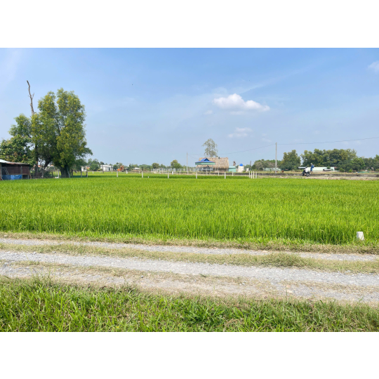 Đất thổ giá rẻ sổ hồng riêng Đức Hoà 