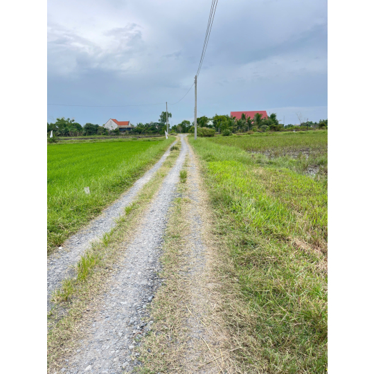 Đất thổ giá rẻ sổ hồng riêng Đức Hoà 