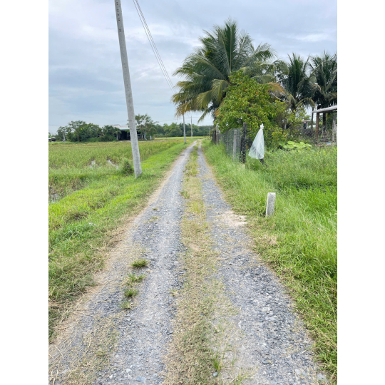 Đất thổ giá rẻ sổ hồng riêng Đức Hoà 