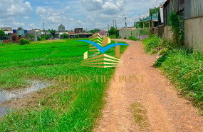 ĐẤT ĐẦU TƯ ĐỨC HOÀ 