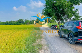 ĐẤT THỔ TÂN PHÚ-ĐỨC HOÀ