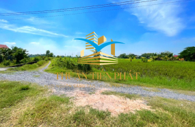 ĐẤT TÂN PHÚ - ĐỨC HOÀ - LONG AN GIÁ ĐẦU TƯ