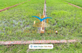 BÁN ĐẤT NỀN FULL THỔ CƯ 823D GIÁ ĐẦU TƯ