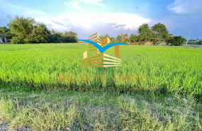 ĐẤT THỔ CƯ TÂN MỸ CẠNH VINGROUP 930ha 