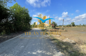 ĐẤT LÚA XÃ TÂN PHÚ - ĐỨC HOÀ -LONG AN