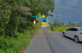 ĐẤT LÚA ĐẦU TƯ HẬU NGHĨA - ĐỨC HOÀ -  LONG AN