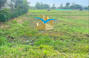 ĐẤT NỀN ĐỨC HÒA GIÁ ĐẦU TƯ 