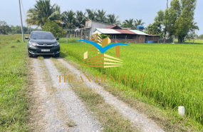 Đất thổ giá rẻ sổ hồng riêng Đức Hoà 